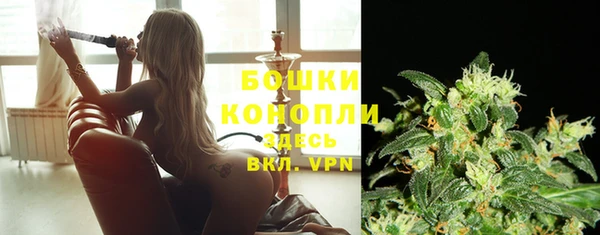 дмт Пересвет