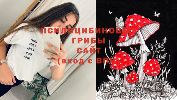 дмт Пересвет
