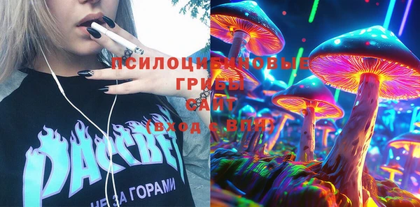 дмт Пересвет