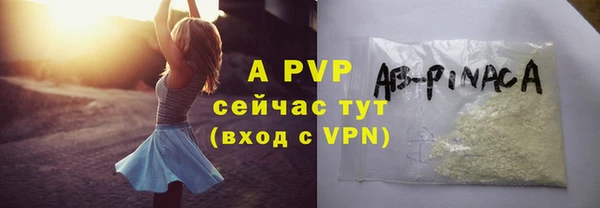 дмт Пересвет