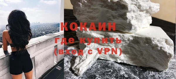дмт Пересвет