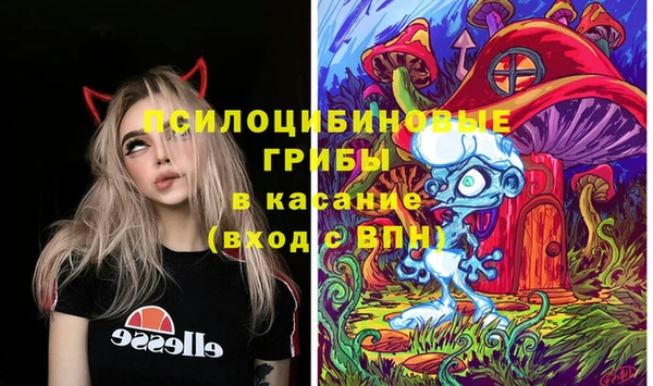 меф Переславль-Залесский