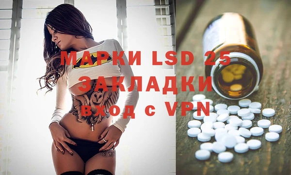 дмт Пересвет