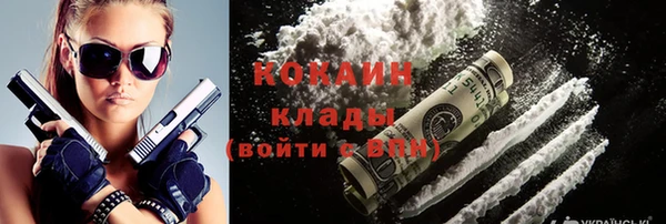 дмт Пересвет