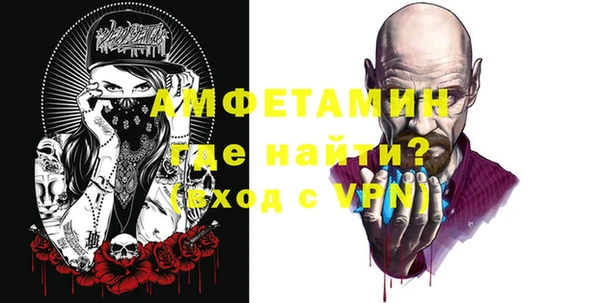 дмт Пересвет