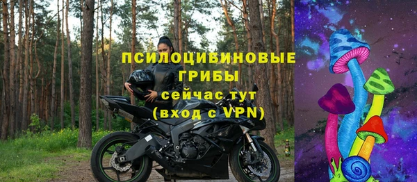 дмт Пересвет