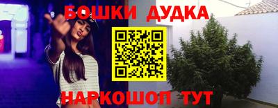 твердый Будённовск