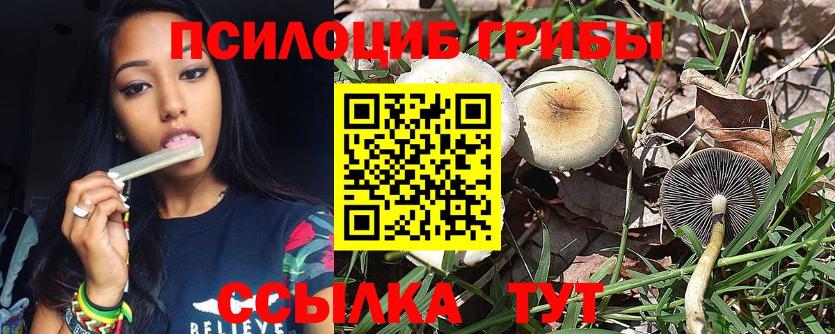 Галлюциногенные грибы мухоморы Волжск