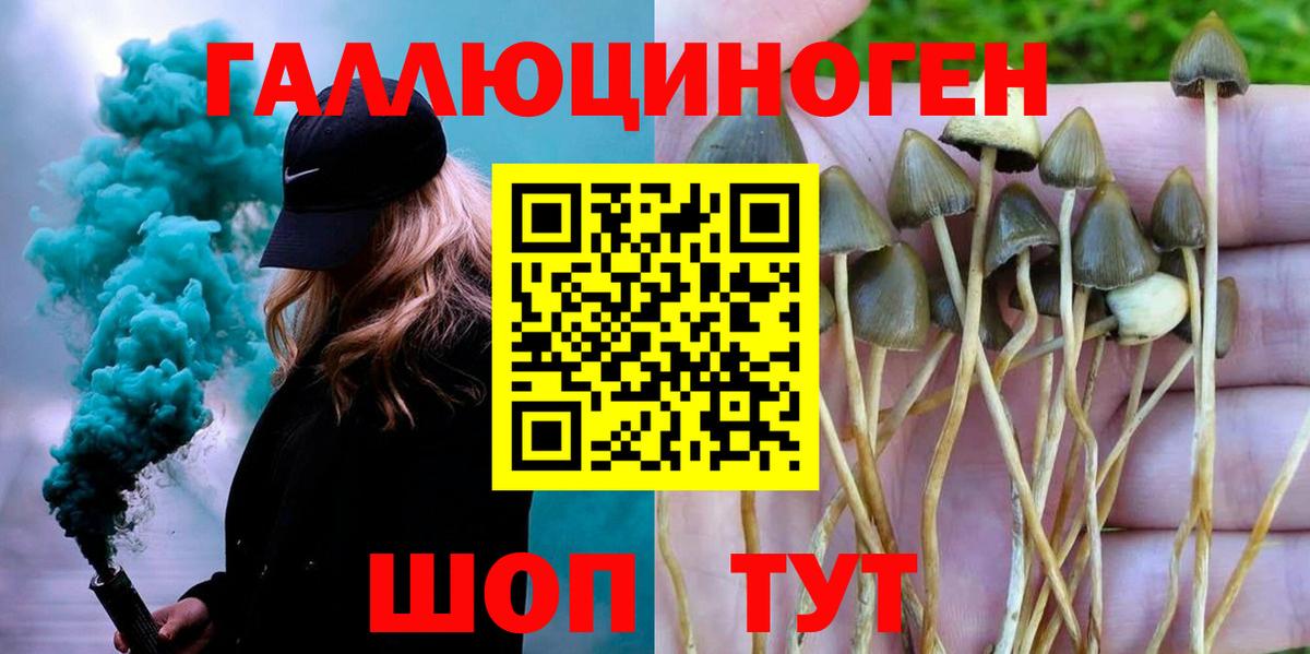 Галлюциногенные грибы GOLDEN TEACHER Волжск