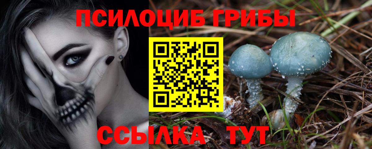 Галлюциногенные грибы прущие грибы  Вход с VPN  Волжск  Галлюциногенные грибы мицелий 