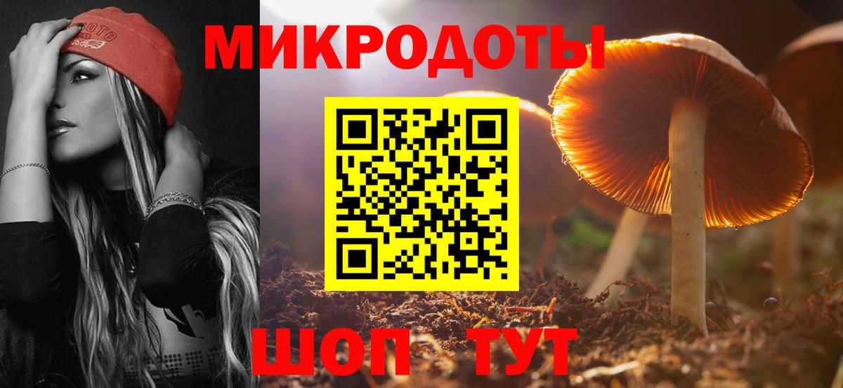 Псилоцибиновые грибы прущие грибы  Псилоцибиновые грибы MAGIC MUSHROOMS  Волжск 